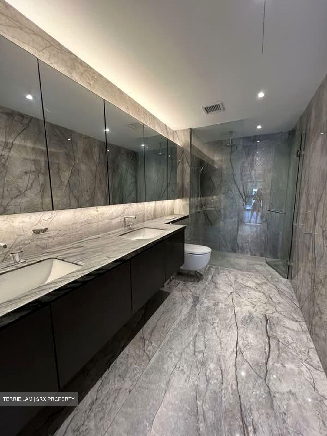 Shrewsbury Road (D11), Terrace #559830231